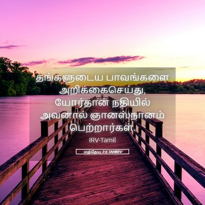 Picture 05 - மத்தேயு 3:6 TAMIRV - தங்களுடைய - Bible Verse Picture