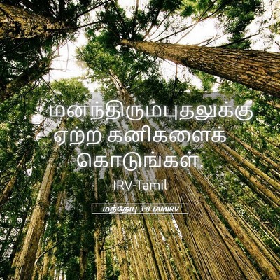 Picture 05 - மத்தேயு 3:8 TAMIRV -  - Bible Verse Picture