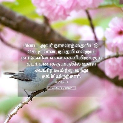 Picture 05 - மத்தேயு 4:13 TAMIRV - பின்பு, அவர் - Bible Verse Picture