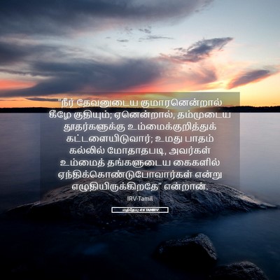 Picture 05 - மத்தேயு 4:6 TAMIRV - “நீர் தேவனுடைய - Bible Verse Picture