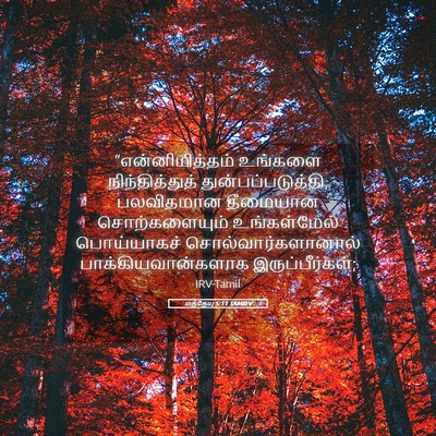 Picture 05 - மத்தேயு 5:11 TAMIRV - “என்னிமித்தம் - Bible Verse Picture