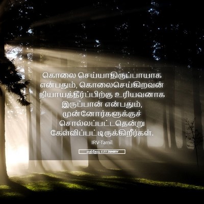 Picture 05 - மத்தேயு 5:21 TAMIRV - கொலை - Bible Verse Picture