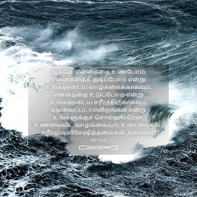 Picture 05 - மத்தேயு 6:25 TAMIRV - ஆகவே, என்னத்தை - Bible Verse Picture