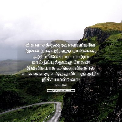 Picture 05 - மத்தேயு 6:30 TAMIRV -  - Bible Verse Picture