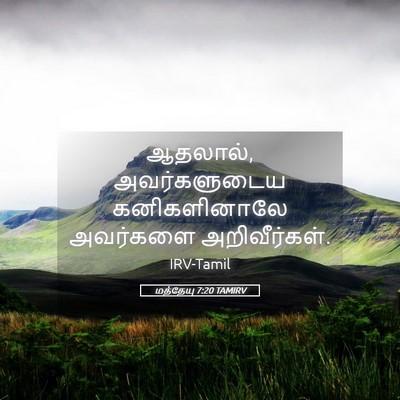 Picture 05 - மத்தேயு 7:20 TAMIRV - ஆதலால், - Bible Verse Picture