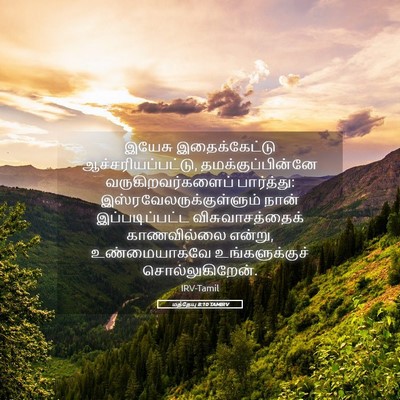Picture 05 - மத்தேயு 8:10 TAMIRV - இயேசு இதைக்கேட்டு - Bible Verse Picture