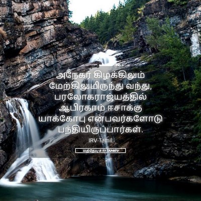Picture 05 - மத்தேயு 8:11 TAMIRV - அநேகர் - Bible Verse Picture