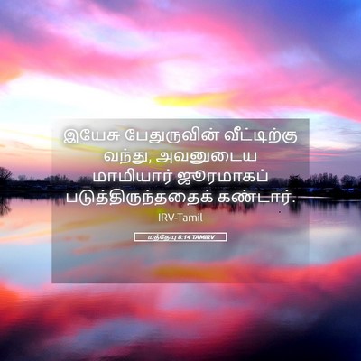 Picture 05 - மத்தேயு 8:14 TAMIRV - இயேசு பேதுருவின் - Bible Verse Picture