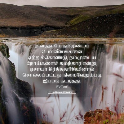 Picture 05 - மத்தேயு 8:17 TAMIRV - அவர்தாமே நம்முடைய - Bible Verse Picture