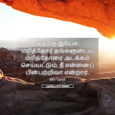 Picture 05 - மத்தேயு 8:22 TAMIRV - அதற்கு இயேசு: - Bible Verse Picture