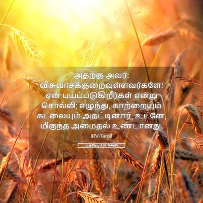 Picture 05 - மத்தேயு 8:26 TAMIRV - அதற்கு அவர்: - Bible Verse Picture