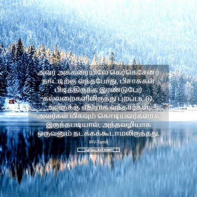Picture 05 - மத்தேயு 8:28 TAMIRV - அவர் அக்கரையிலே - Bible Verse Picture