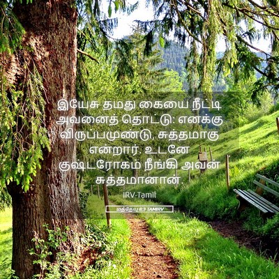 Picture 05 - மத்தேயு 8:3 TAMIRV - இயேசு தமது கையை - Bible Verse Picture