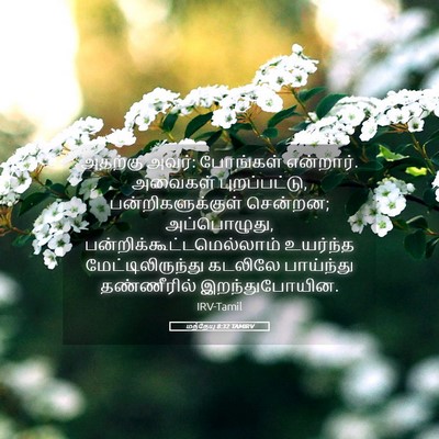 Picture 05 - மத்தேயு 8:32 TAMIRV - அதற்கு அவர்: - Bible Verse Picture