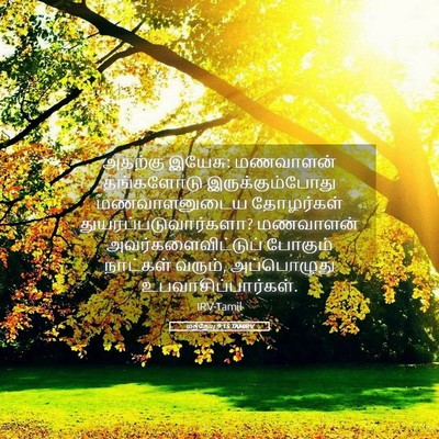 Picture 05 - மத்தேயு 9:15 TAMIRV - அதற்கு இயேசு: - Bible Verse Picture