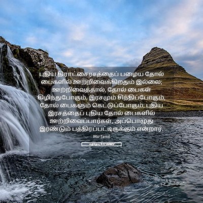 Picture 05 - மத்தேயு 9:17 TAMIRV - புதிய - Bible Verse Picture