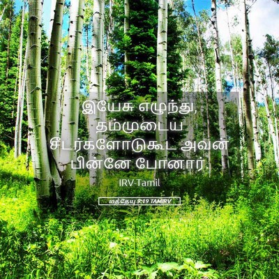 Picture 05 - மத்தேயு 9:19 TAMIRV - இயேசு எழுந்து, - Bible Verse Picture