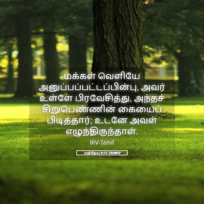 Picture 05 - மத்தேயு 9:25 TAMIRV - மக்கள் வெளியே - Bible Verse Picture