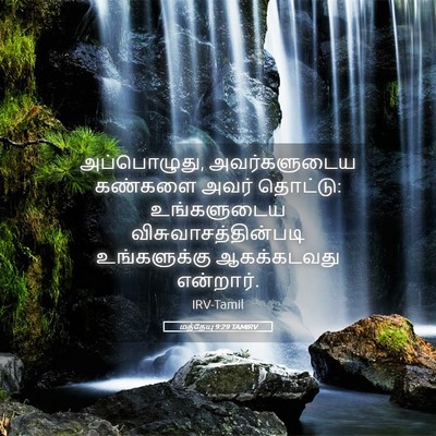 Picture 05 - மத்தேயு 9:29 TAMIRV - அப்பொழுது, - Bible Verse Picture