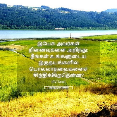 Picture 05 - மத்தேயு 9:4 TAMIRV - இயேசு அவர்கள் - Bible Verse Picture