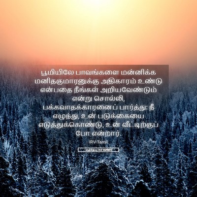 Picture 05 - மத்தேயு 9:6 TAMIRV - பூமியிலே பாவங்களை - Bible Verse Picture