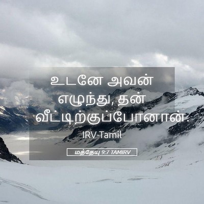 Picture 05 - மத்தேயு 9:7 TAMIRV - உடனே அவன் எழுந்து, - Bible Verse Picture