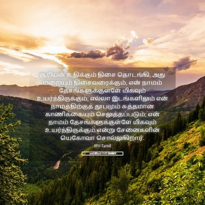 Picture 05 - மல்கியா 1:11 TAMIRV - சூரியன் உதிக்கும் - Bible Verse Picture