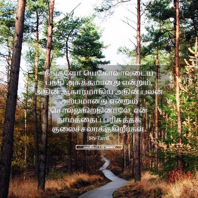 Picture 05 - மல்கியா 1:12 TAMIRV - நீங்களோ - Bible Verse Picture