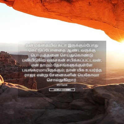 Picture 05 - மல்கியா 1:14 TAMIRV - தன் மந்தையில் கடா - Bible Verse Picture