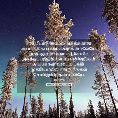 Picture 05 - மல்கியா 1:7 TAMIRV - என் பீடத்தின்மேல் - Bible Verse Picture