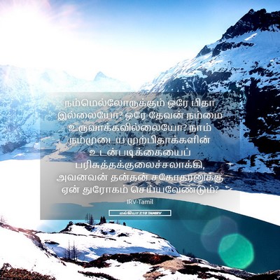 Picture 05 - மல்கியா 2:10 TAMIRV -  - Bible Verse Picture