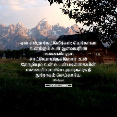 Picture 05 - மல்கியா 2:14 TAMIRV - ஏன் என்று - Bible Verse Picture