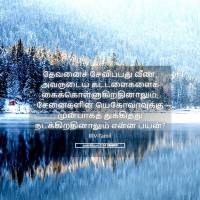 Picture 05 - மல்கியா 3:14 TAMIRV - தேவனைச் சேவிப்பது - Bible Verse Picture
