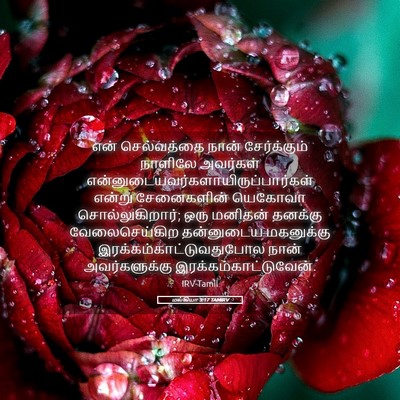 Picture 05 - மல்கியா 3:17 TAMIRV - என் செல்வத்தை - Bible Verse Picture
