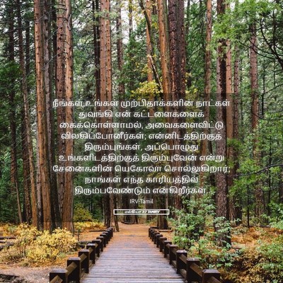 Picture 05 - மல்கியா 3:7 TAMIRV - நீங்கள் உங்கள் - Bible Verse Picture