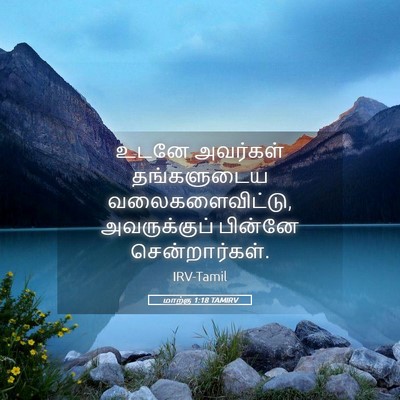 Picture 05 - மாற்கு 1:18 TAMIRV - உடனே அவர்கள் - Bible Verse Picture