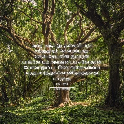 Picture 05 - மாற்கு 1:19 TAMIRV - அவர் அந்த - Bible Verse Picture