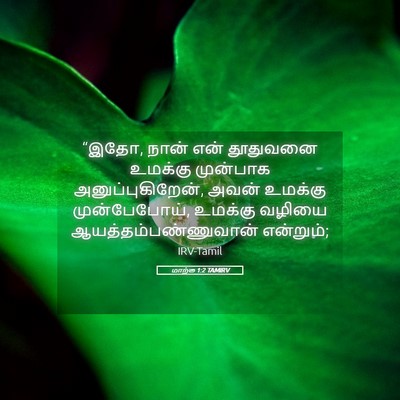 Picture 05 - மாற்கு 1:2 TAMIRV - “இதோ, நான் என் - Bible Verse Picture