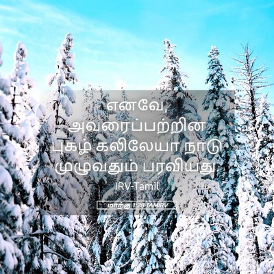 Picture 05 - மாற்கு 1:28 TAMIRV - எனவே, - Bible Verse Picture