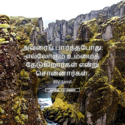 Picture 05 - மாற்கு 1:37 TAMIRV - அவரைப் - Bible Verse Picture