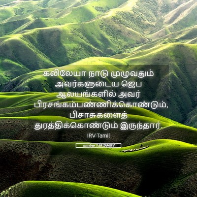 Picture 05 - மாற்கு 1:39 TAMIRV - கலிலேயா நாடு - Bible Verse Picture
