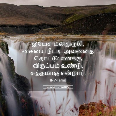 Picture 05 - மாற்கு 1:41 TAMIRV - இயேசு மனதுருகி, - Bible Verse Picture