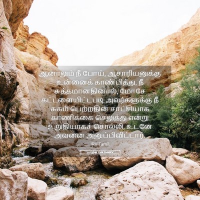 Picture 05 - மாற்கு 1:44 TAMIRV - ஆனாலும் நீ போய், - Bible Verse Picture