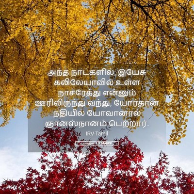 Picture 05 - மாற்கு 1:9 TAMIRV - அந்த நாட்களில், - Bible Verse Picture