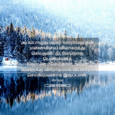 Picture 05 - மாற்கு 10:11 TAMIRV - அப்பொழுது அவர்: - Bible Verse Picture