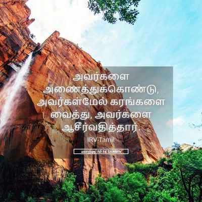 Picture 05 - மாற்கு 10:16 TAMIRV - அவர்களை - Bible Verse Picture