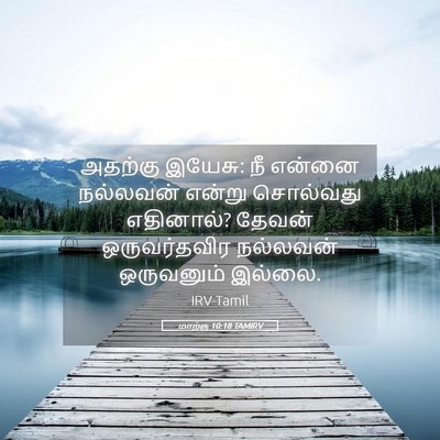 Picture 05 - மாற்கு 10:18 TAMIRV - அதற்கு இயேசு: நீ - Bible Verse Picture