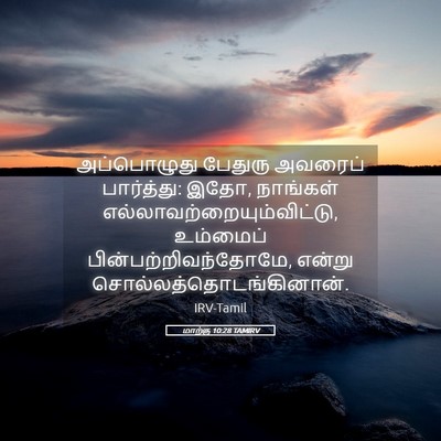 Picture 05 - மாற்கு 10:28 TAMIRV - அப்பொழுது பேதுரு - Bible Verse Picture
