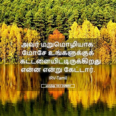 Picture 05 - மாற்கு 10:3 TAMIRV - அவர் மறுமொழியாக: - Bible Verse Picture