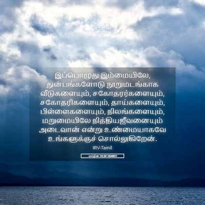 Picture 05 - மாற்கு 10:30 TAMIRV - இப்பொழுது - Bible Verse Picture